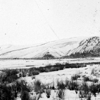bca_c01533