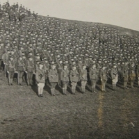 bca_elkington_hpo18913