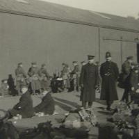bca_elkington_hpo18922