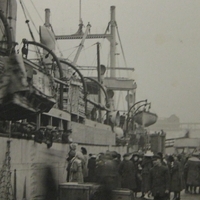 bca_elkington_hpo18924