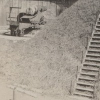 elkington_album_p17_4
