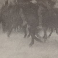 elkington_album_p20_1