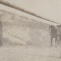 elkington_album_p20_3
