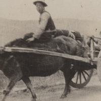 elkington_album_p21_3