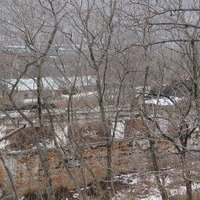 isitt_russia_38