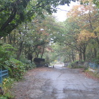 isitt_russia_cemetery_159
