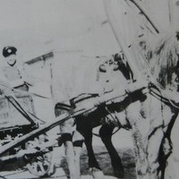 lac_rcmp_72-90-40